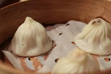 Xiaolongbao dumplings
