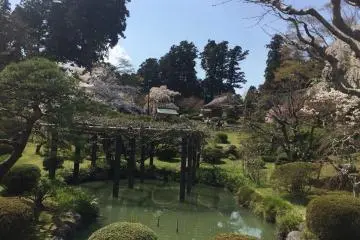 <p>A small pond a top the hill</p>