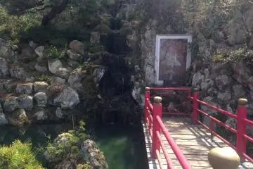 <p>A small bridge over a pond</p>