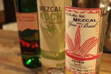 <p>Mezcal Yuu Baal Espad&iacute;n​</p>