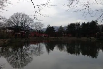 <p>Another view of the lake. I imagine in autumn this place would become alive with the vibrant autumn colors not only of these trees, but also from the hills around it</p>