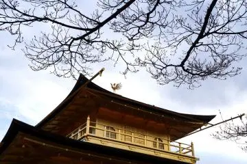 <p>킨카쿠지를 더 화려하게 장식하는 지붕 위의 봉황새</p>