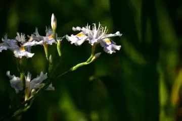 <p>Happy in the sun</p>