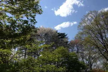 <p>It's a lovely place to take a stroll and enjoy nature at your own pace</p>