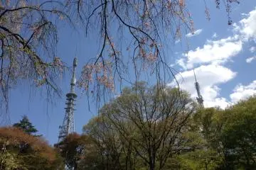 <p>The Two Towers: Sendai edition!</p>