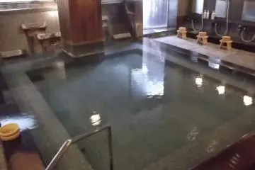 <p>An indoor bath...</p>
