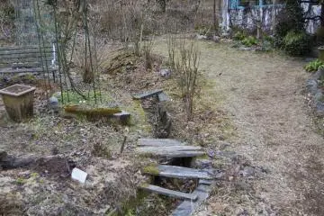 <p>On the edge of a forest</p>