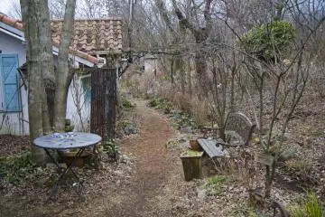 <p>The side garden</p>