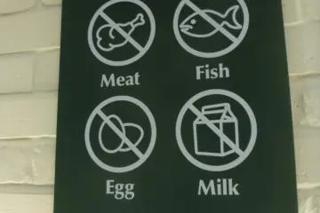 <p>Everything here is vegan, everything is delicious</p>