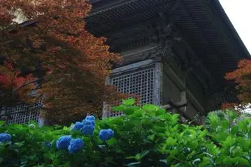 Yamadera: The Temple in the Mountain