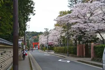 <p>다이도쿠지 부속절들 사이길을 걷다보면 이런 골목에 다다르게 되는데요..</p>