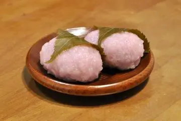 The Best Sakura Snacks in Japan