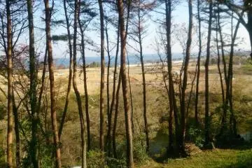 <p>Trees add to the village atmoshpere</p>
