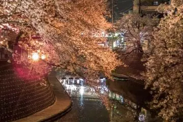 As you approach Gumiyoji Station the lights and reflections get even brighter