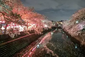 Looking out in the opposite direction from Idogaya Bridge