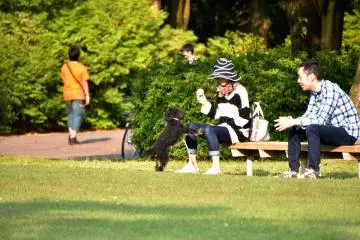<p>Dogs were everywhere in the park. This must be the popular location for walking dogs.</p>