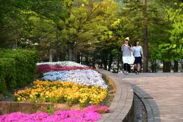 <p>Strolling beside pretty flower beds</p>