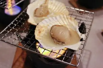 Scallops