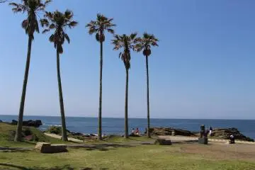 Looking out to sea