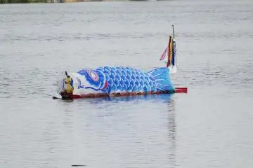 Satu bendera ikan koi tampak mengapung di sungai