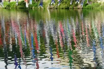 Bayangan dari bendera ikan koi