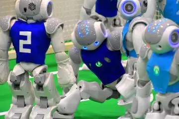 <p>Wow, he got on his legs again without help!</p>