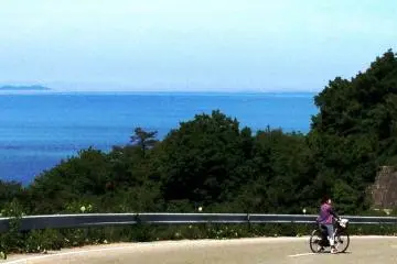Winding road past Teshima's art museum 