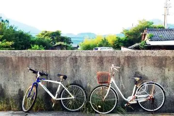 Two cycles in teshima