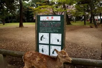 <p>공원 곳곳에 세워져 있던 경고 표지판</p>