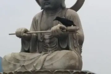 กาเกาะอยู่บนจิโสะตรงที่จอดร