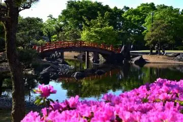 Printemps au Parc Murasaki Shikibu