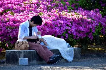 Un couple apprécie le temps passé dans ce magnifique parc