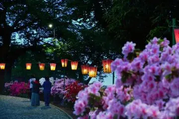 Des gens se promènent le long du chemin à la tombée de la nuit