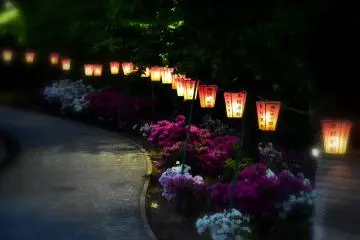 Le chemin faiblement éclairé dans le parc la nuit