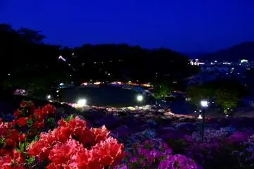 Paradis des Azalées à Fukui de Nuit