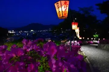 Les lumières de la ville et le parc illuminé au crépuscule