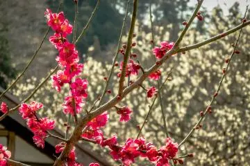 <p>A final look at the contrasting colors</p>