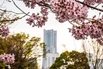 หอคอย Landmark Tower ในระยะไกล