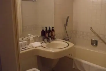 <p>There are plenty of bathroom amenities, including foam face wash.</p>