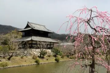 At the foot of the mountain there are several temples and shrines along the river