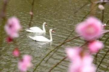 The riverside is a great place to sit, relax and take in the natural beauty of the area