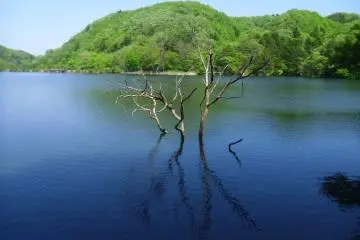 <p>Spring is a good time to visit - the weather is good and there aren't so many insects as summer</p>