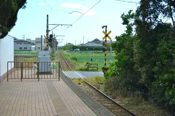 <p>Single-track line goes into a&nbsp;cabbage field</p>
