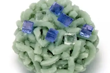 Edible Art 1