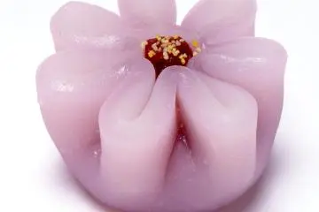 Edible Art 2