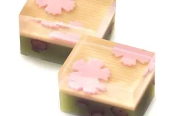 Edible Art 3