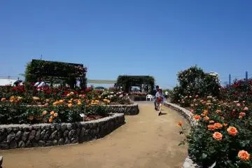 <p>Though there are a few covered areas around the garden, it's probably best to wear sunscreen. &nbsp;I speak from experience.</p>
