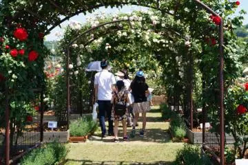 <p>Mom, Dad, grandma, grandpa, and all the kids - Regardless of the weather, the garden is usually full with large families enjoying a weekend drive through the countryside.</p>