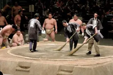 <p>Sweeping the sumo ring</p>