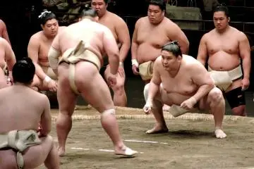 <p>Sumo wrestlers squaring up</p>